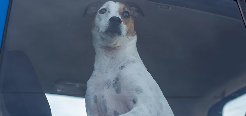 Car Lockout Solutions in Grass Valley, California